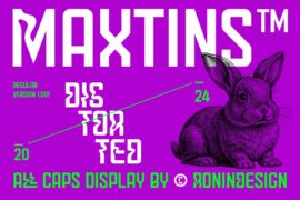 Maxtins Font