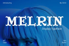 Melrin Demo Font