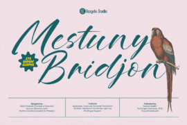 Mestuny Bridjon Font