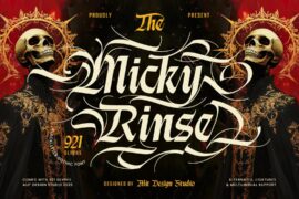 Micky Rinse Font