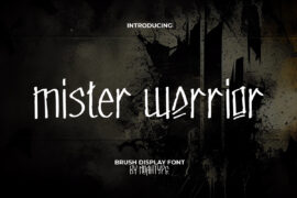 Mister Warrior Demo Font