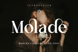 Molade Demo Font