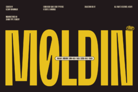 Moldin Demo Font