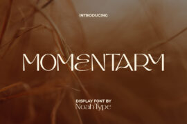 Momentary Demo Font