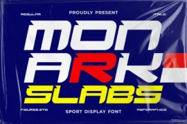 Monark Slabs Font Family