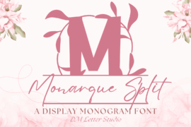 Monarque Split Monogram Font