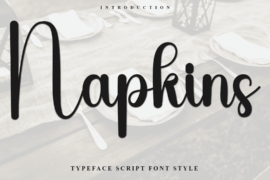 Napkins Font