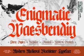 NCL Enigmatic Waesbendiy Demo Font
