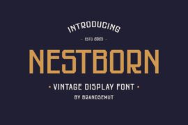 Nestborn Font