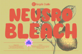 Neusro Bleach Demo Font
