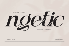 Ngetic Modern Font Family