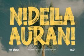 Nidella Dry Brush Demo Font