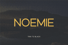Noemie Font