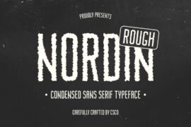 Nordin Rough Demo Font