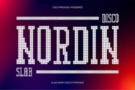 Nordin Slab Disco Demo Font