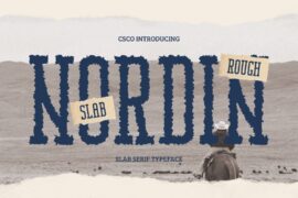 Nordin Slab Rough Demo Font