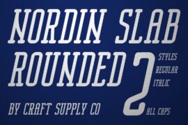 Nordin Slab Rounded Demo Font