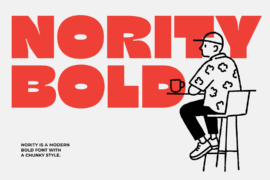 Nority Font Family