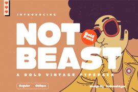 Not Beast – Personal Use Only Font