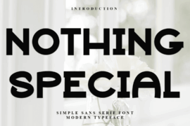 Nothing Special Font