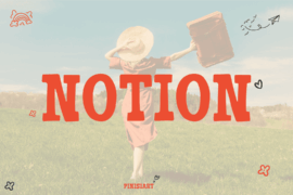 NOTION Font