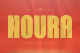 Noura Font Family