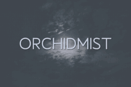 Orchidmist Font