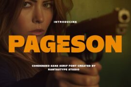 Pageson Font