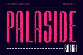 Palaside Rough Demo Font