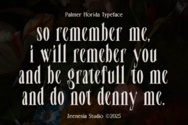 Palmer Florida Personal Use Only Font