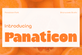 Panaticon DEMO Font