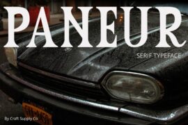 Paneur Demo Font