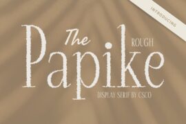 Papike Rough Demo Font