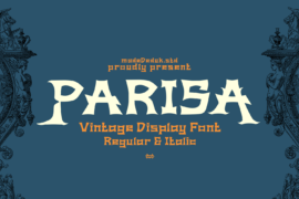 Parisa DEMO Font