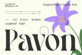 Pavon DEMO Font