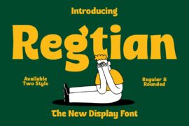 PC Regtian DEMO Font Family