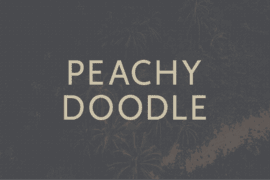 Peachy Doodle Font