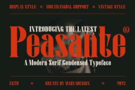 Peasante Font