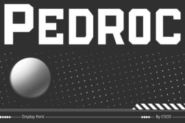 Pedroc Demo Font