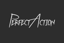 Perfect Action Demo Font