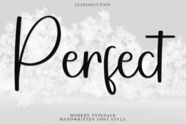 Perfect Font