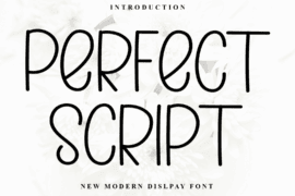 Perfect Script Font
