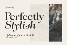Perfectly Stylish Personal Use Only Font Family