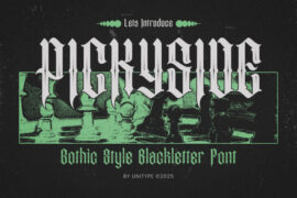 PICKYSIDE Font