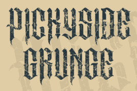 PICKYSIDE GRUNGE Font