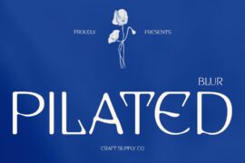 Pilated Blur Demo Font