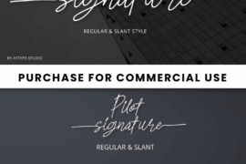 Pilot Signature Font