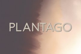 Plantago Font