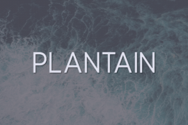 Plantain Font