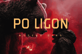 Po ligon Font Family
